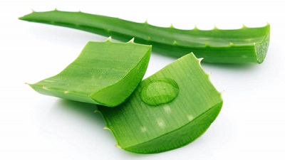 How to Get Rid of Razor Bumps: aloe vera gel seeping from cut aloe pieces