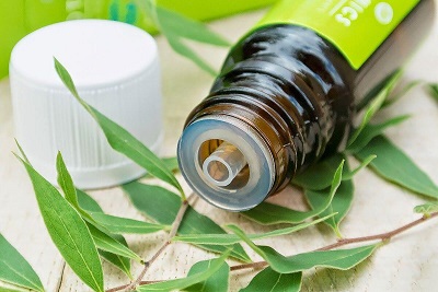 How to Get Rid of Razor Bumps: tea tree oil bottle with tea tree leaves