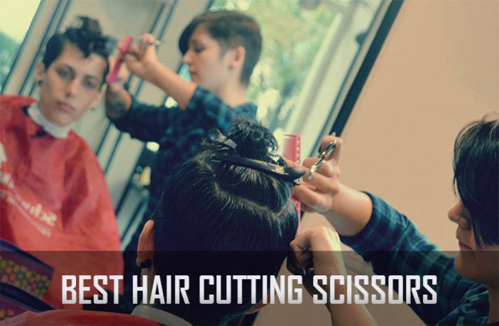 10 Best Hair Cutting Scissors